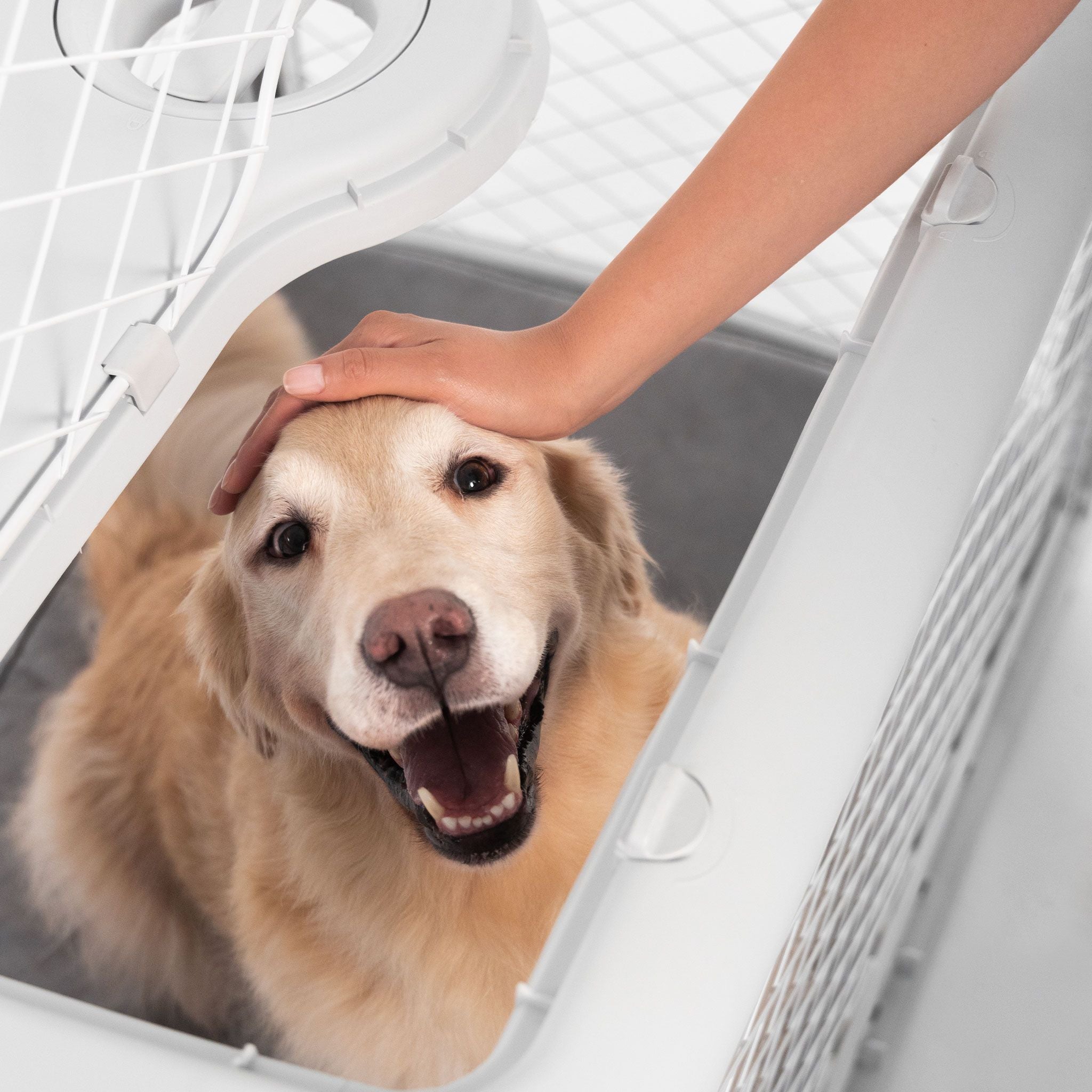 Collapsible Dog Crate with Wheels - Premium Portable Dog Crate - Safe, Stylish, and Convenient Indoor Kennel