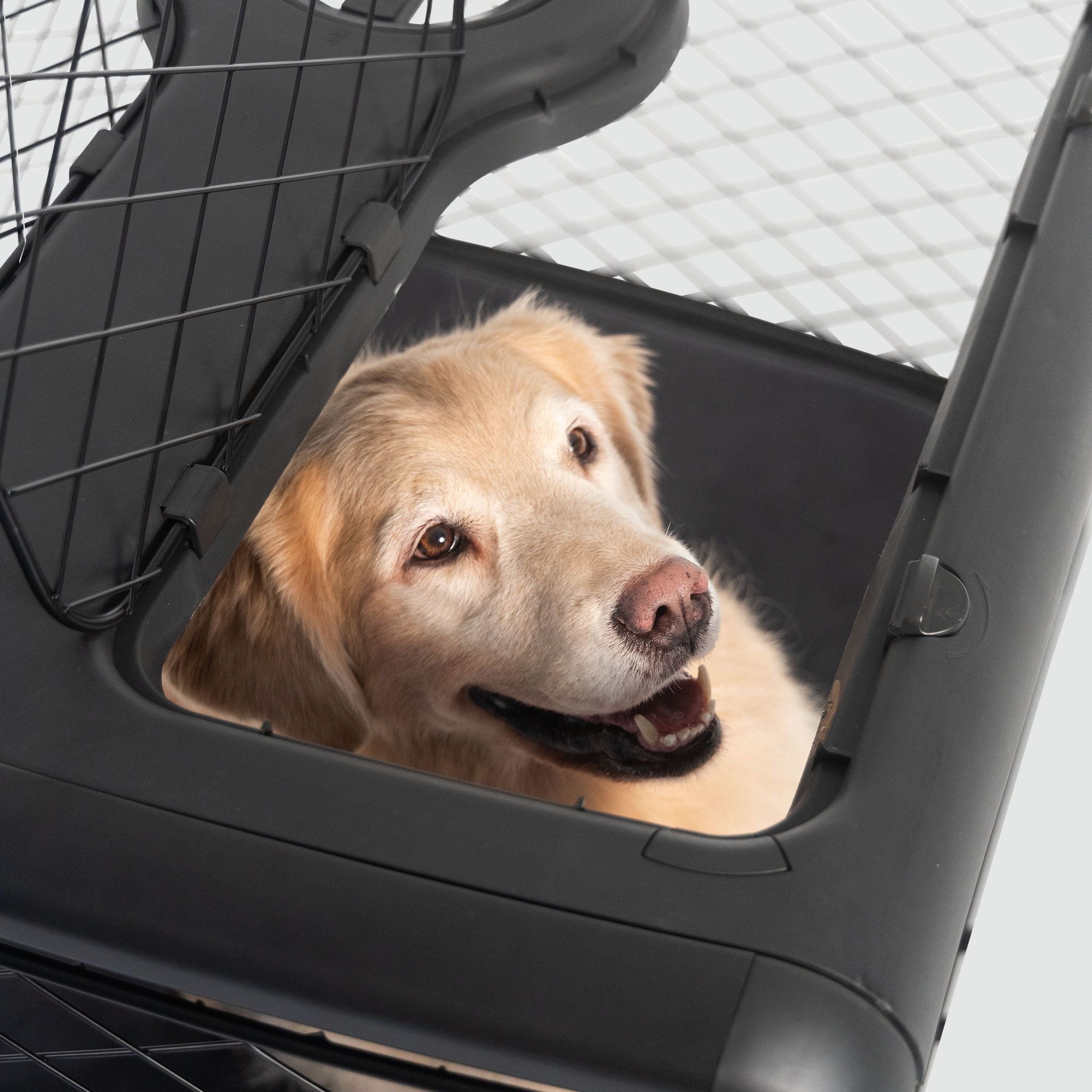 Collapsible Dog Crate with Wheels - Premium Portable Dog Crate - Safe, Stylish, and Convenient Indoor Kennel