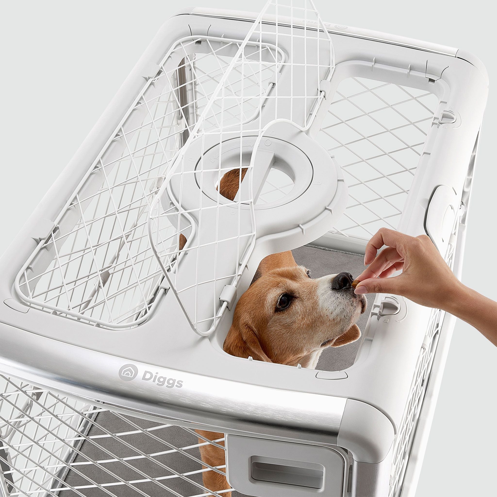 Collapsible Dog Crate with Wheels - Premium Portable Dog Crate - Safe, Stylish, and Convenient Indoor Kennel