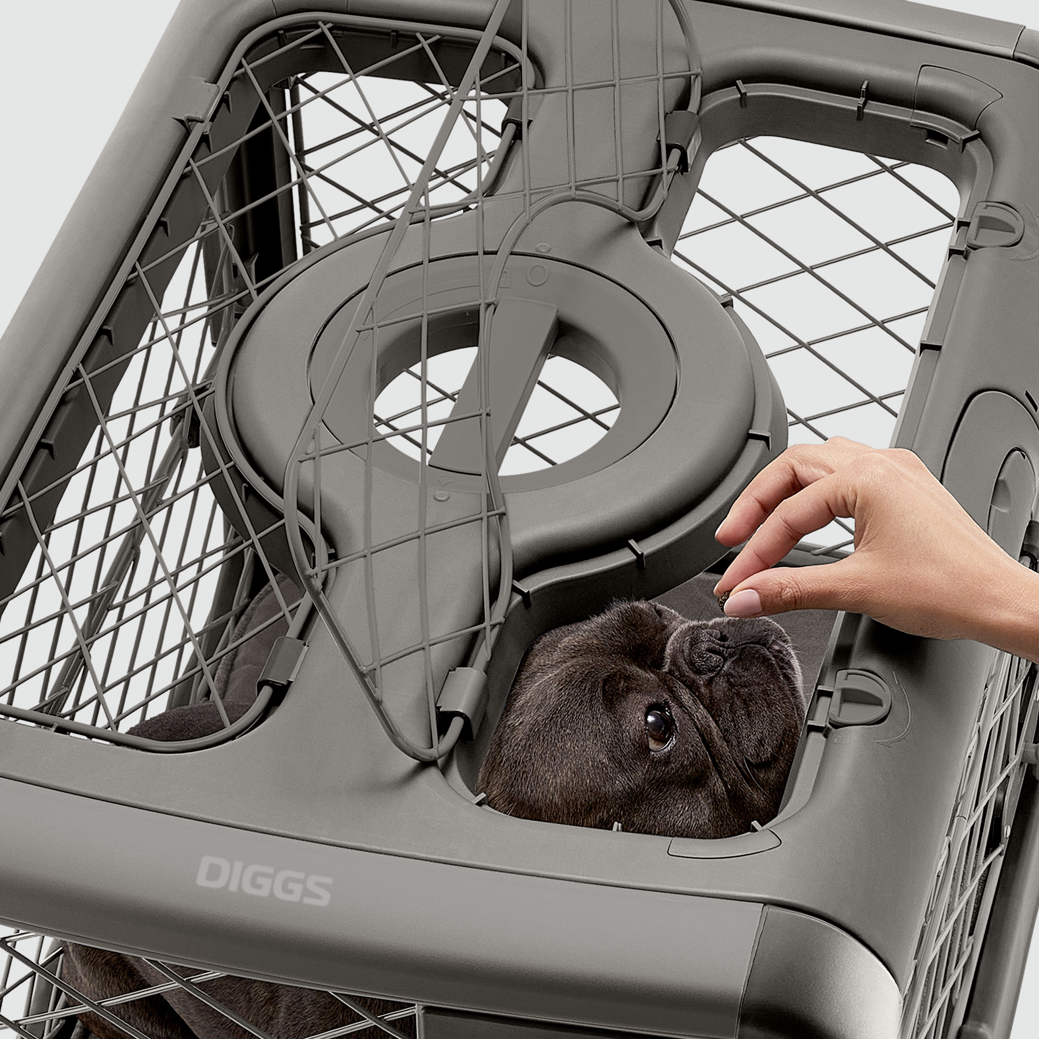Collapsible Dog Crate with Wheels - Premium Portable Dog Crate - Safe, Stylish, and Convenient Indoor Kennel