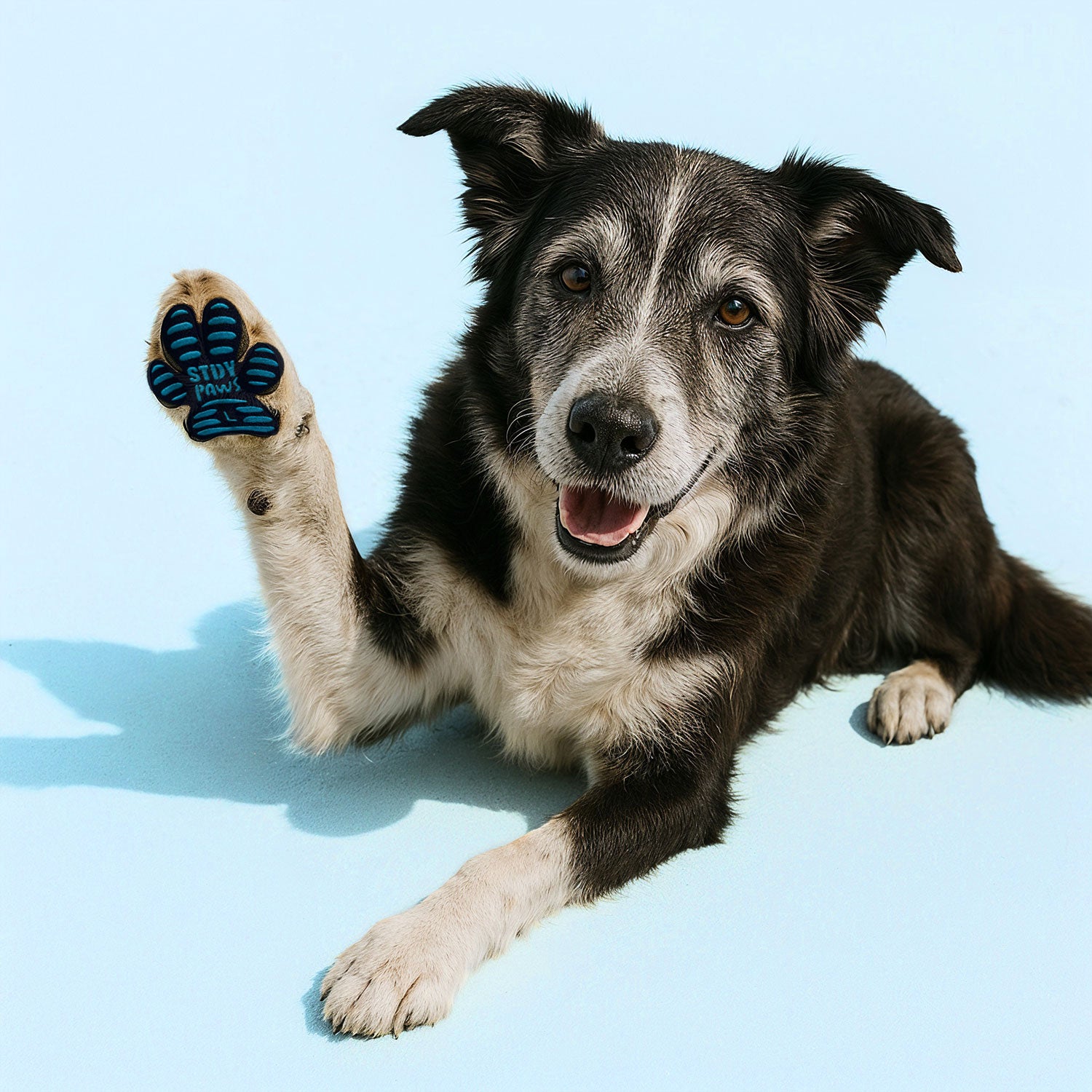 Vet-Approved™ Anti-Slip Dog Paw Tractions - Non-Toxic Grip Pads for Mobility Support