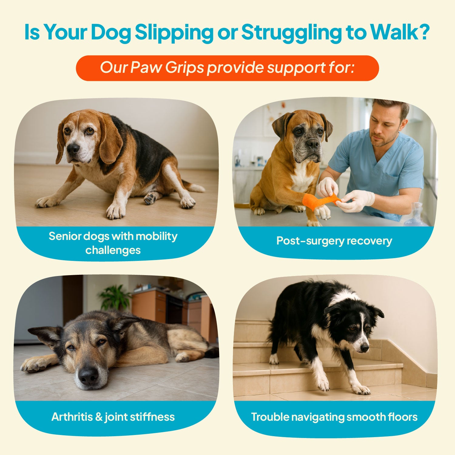 Vet-Approved™ Anti-Slip Dog Paw Tractions - Non-Toxic Grip Pads for Mobility Support