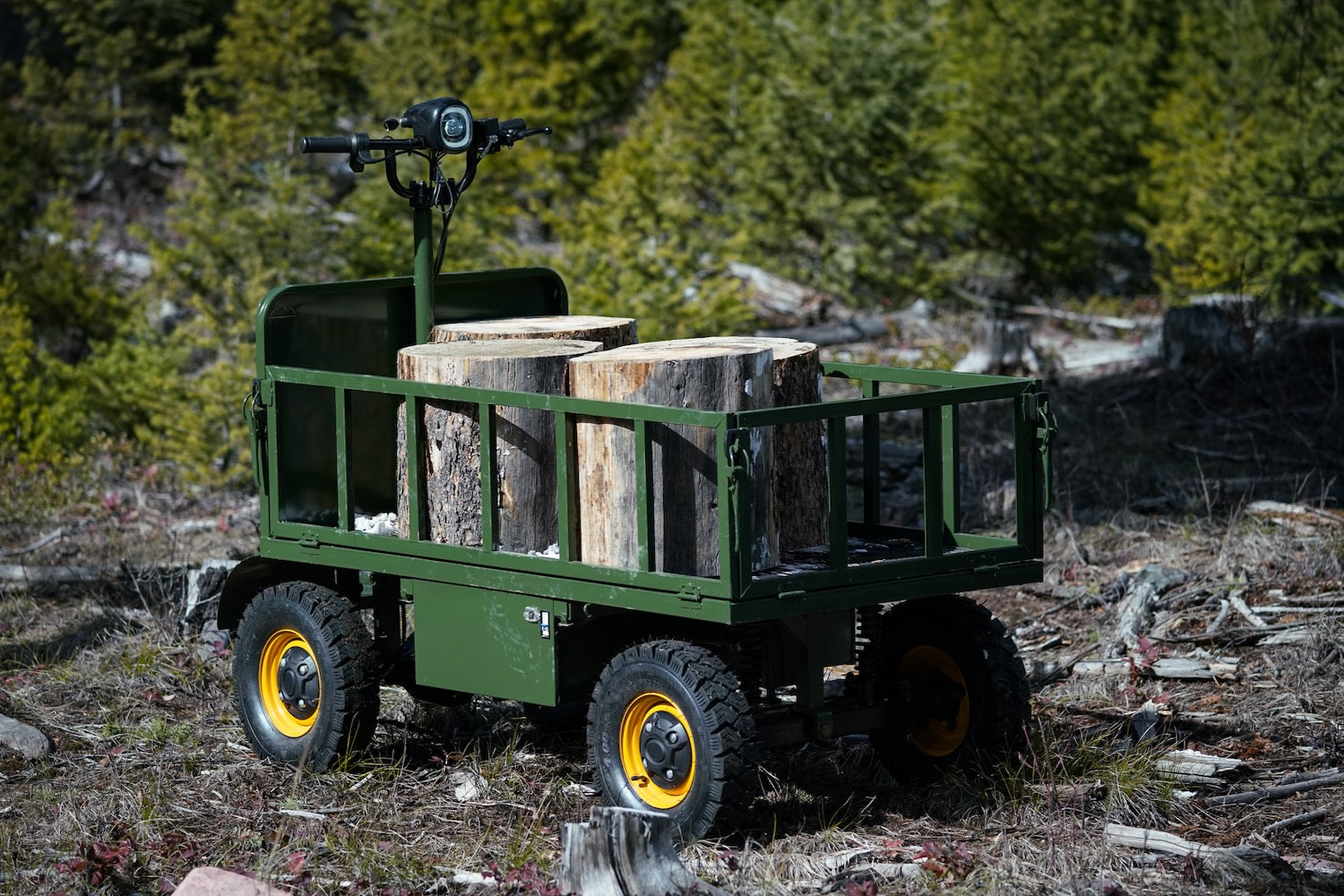 Dual battery Electric trolley, farms, flower gardens, street vendors