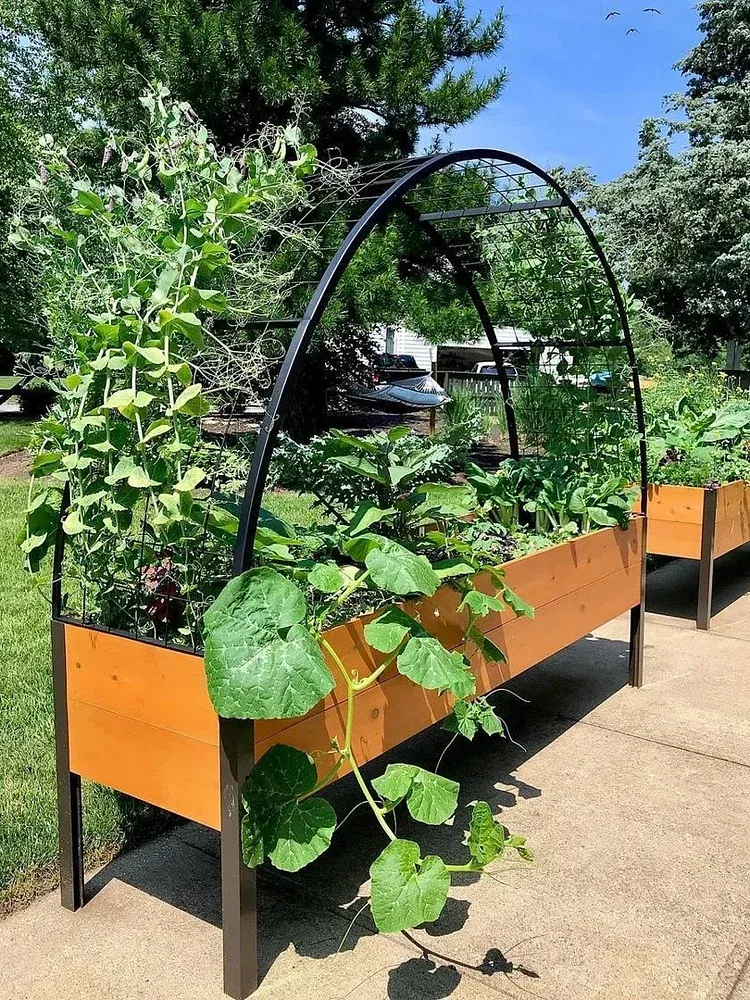 8' X 2' x 4' Self-Watering Eco-Stained Elevated Planter Box+ Arch Trellis
