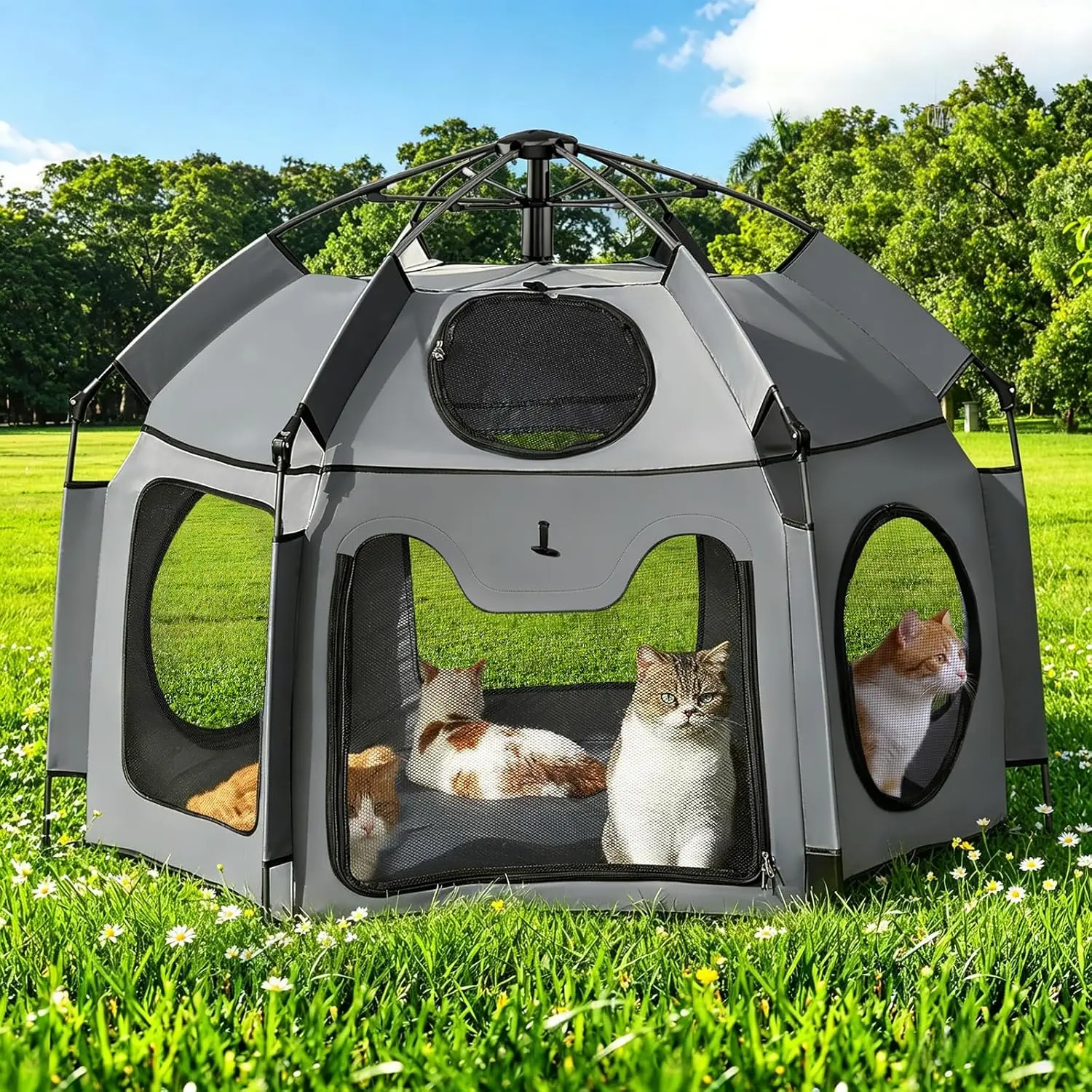 Extra Large Outdoor Cat Enclosure