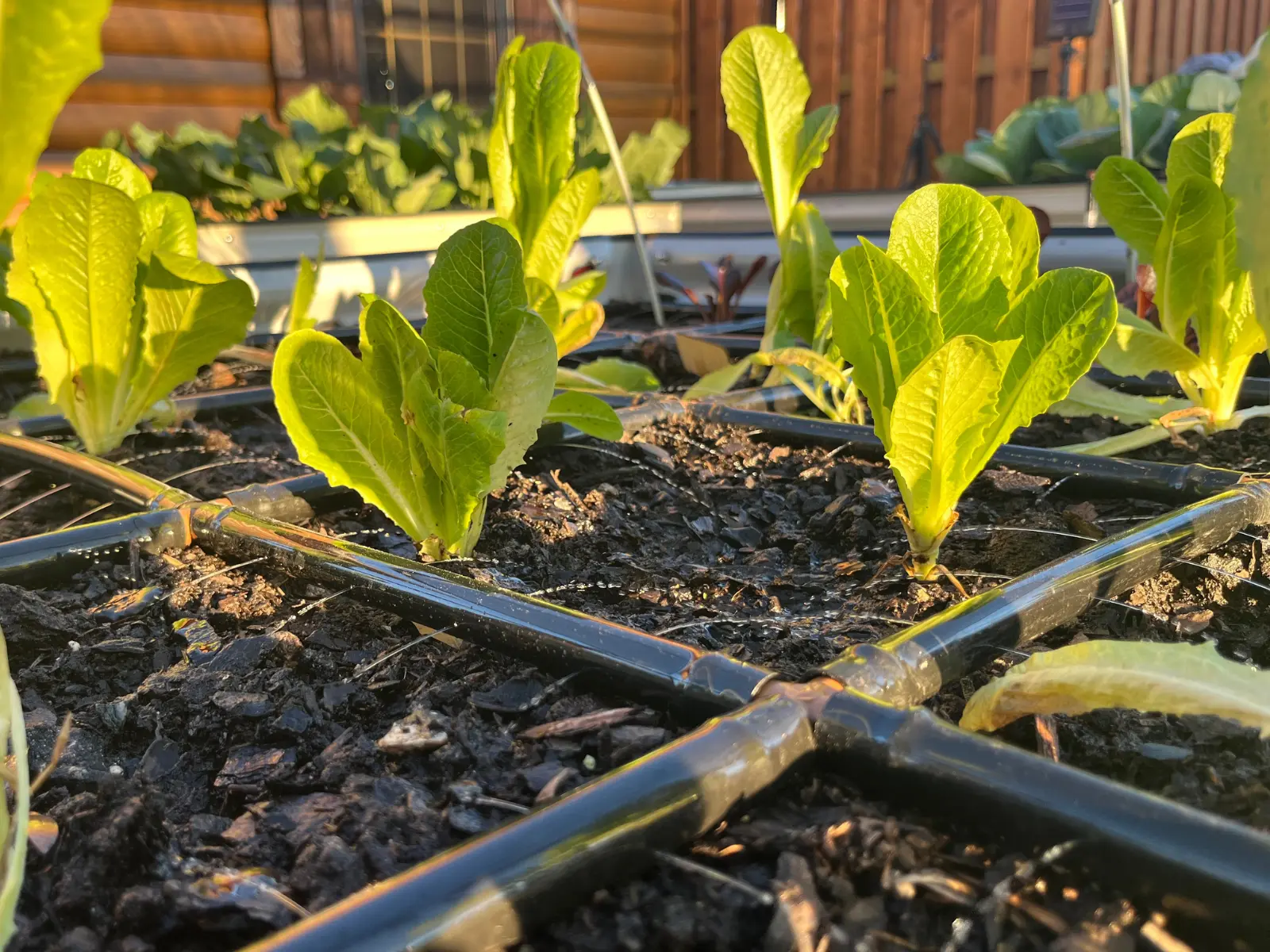 Garden Grid Watering Systems