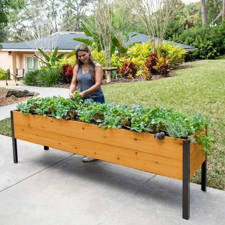 8' X 2' x 4' Self-Watering Eco-Stained Elevated Planter Box+ Arch Trellis