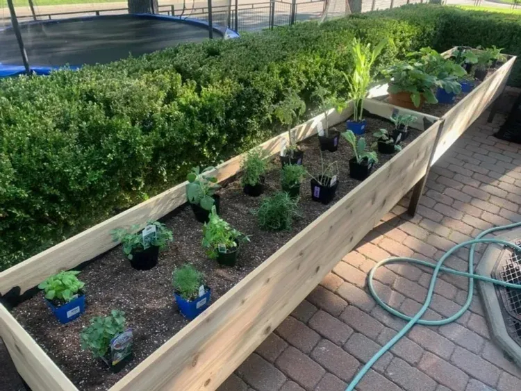 8' X 2' x 4' Self-Watering Eco-Stained Elevated Planter Box+ Arch Trellis