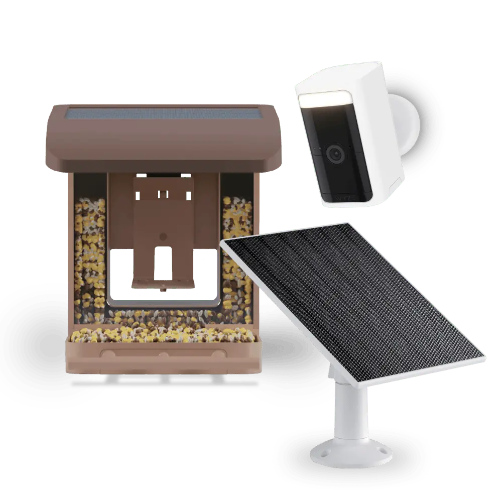 Smart Bird Feeder with Camera – Watch & Record HD Live Video of Birds Visiting Your Backyard Anytime