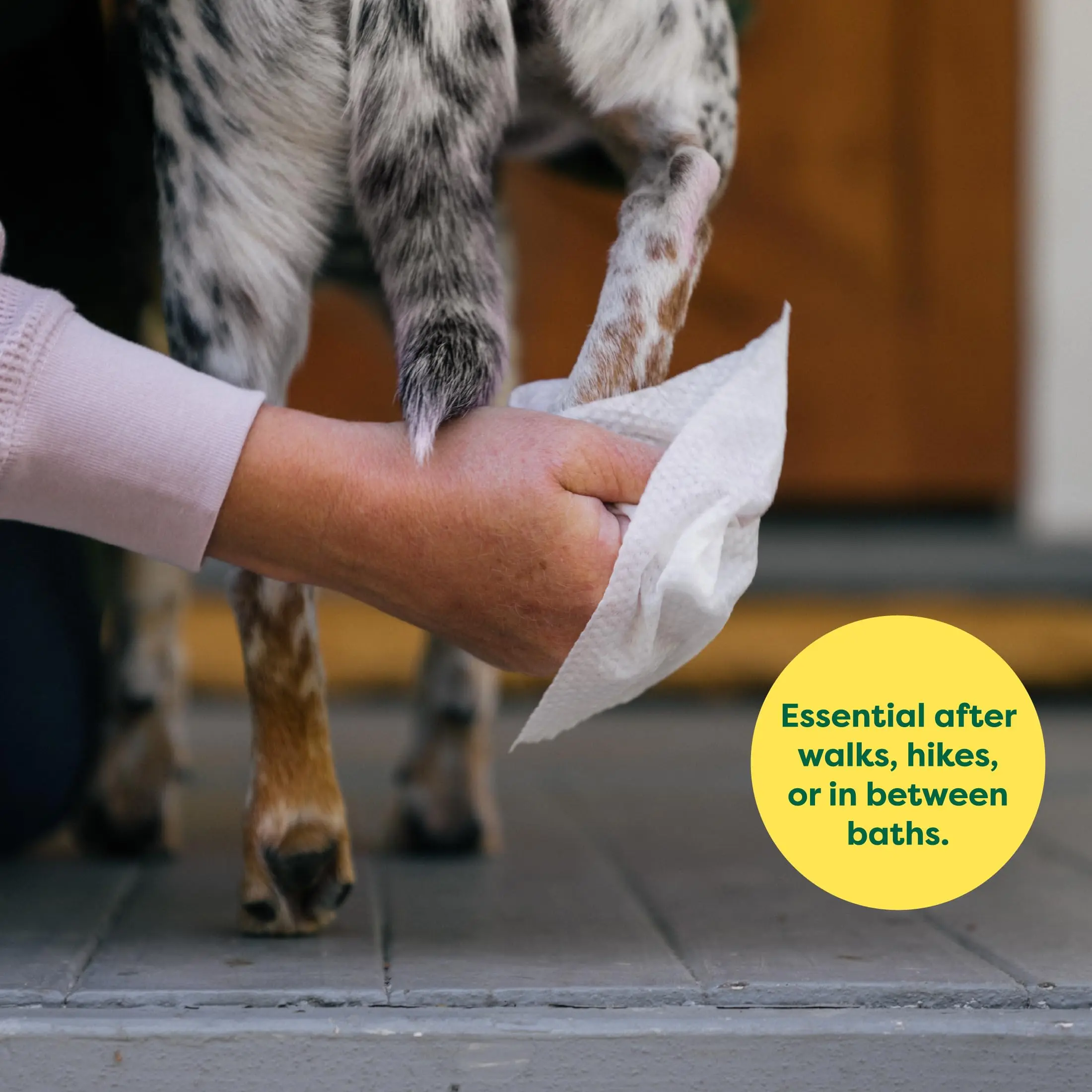 Hypoallergenic Dog Wipes – Gentle Cleaning for Paws, Body & Butt with Fresh Odor Control