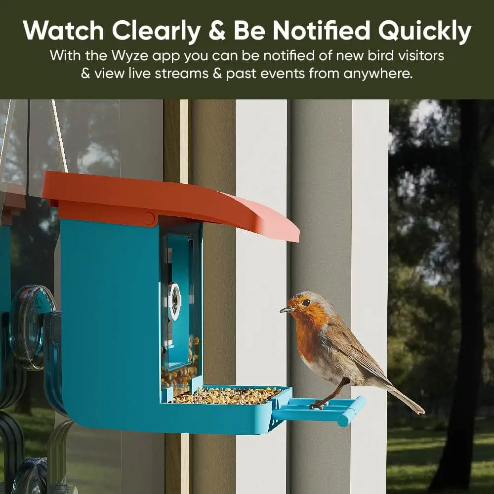 Smart Bird Feeder with Camera – Watch & Record HD Live Video of Birds Visiting Your Backyard Anytime