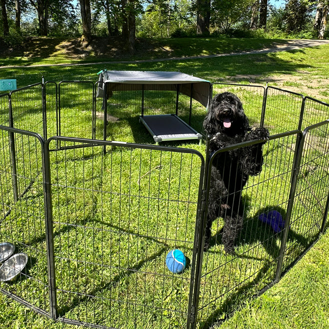 Dog Playpen – Quick Setup for RV Camping