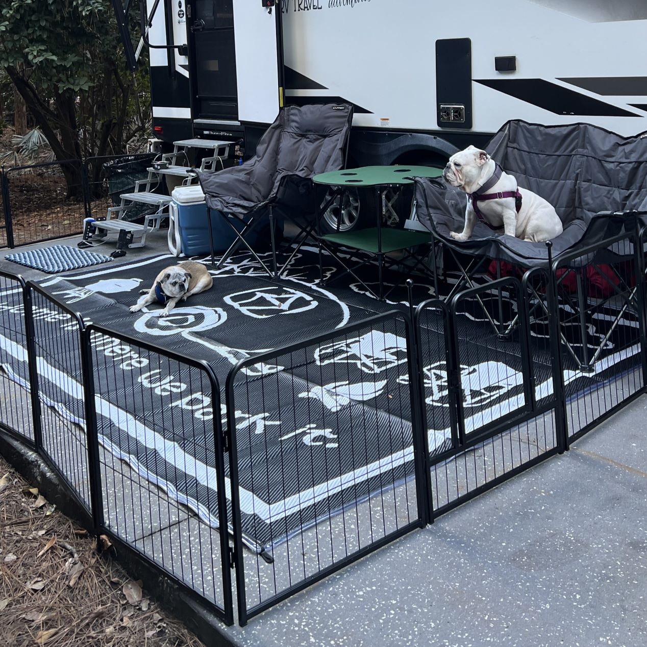 Dog Playpen – Quick Setup for RV Camping