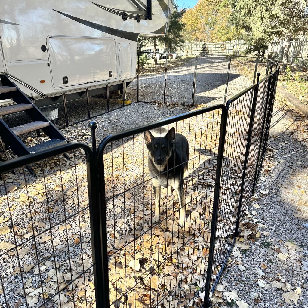 Dog Playpen – Quick Setup for RV Camping