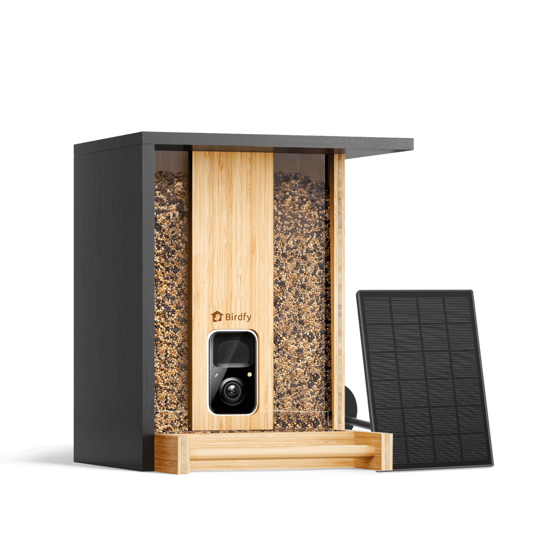 Feeder Bamboo - Smart Bird Feeder with Eco-friendly Material