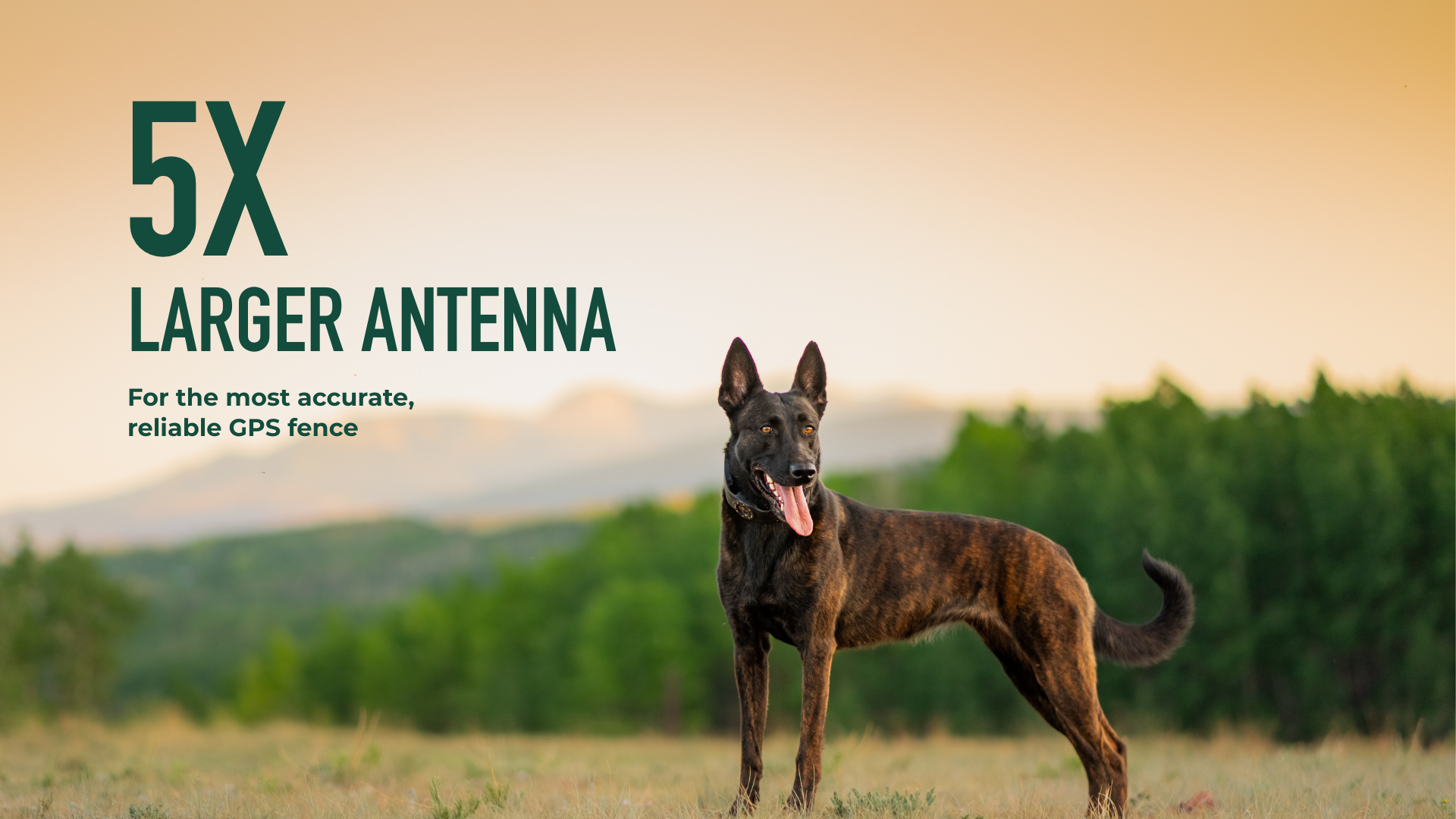 The #1 Rated GPS Dog Fence