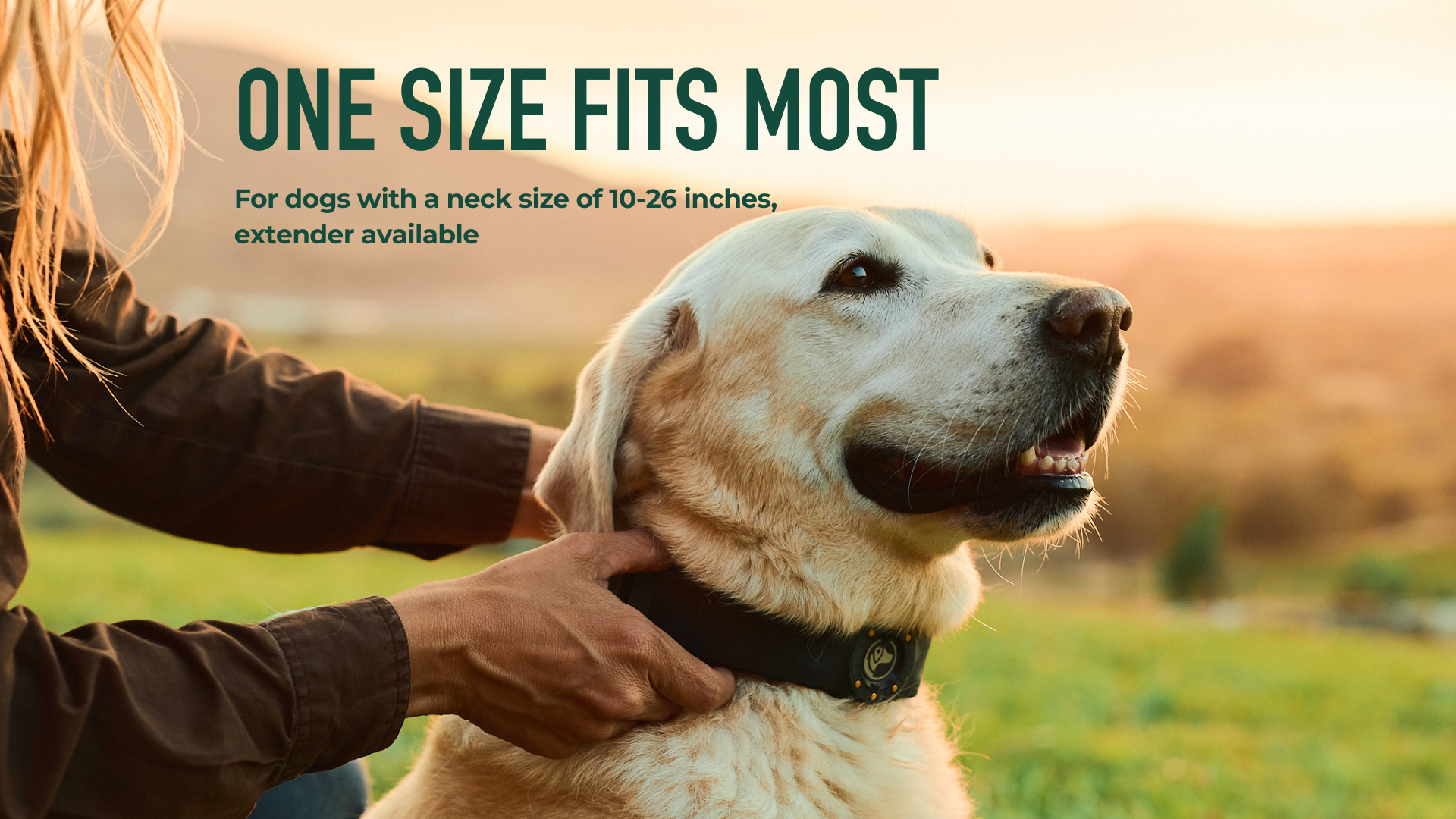The #1 Rated GPS Dog Fence