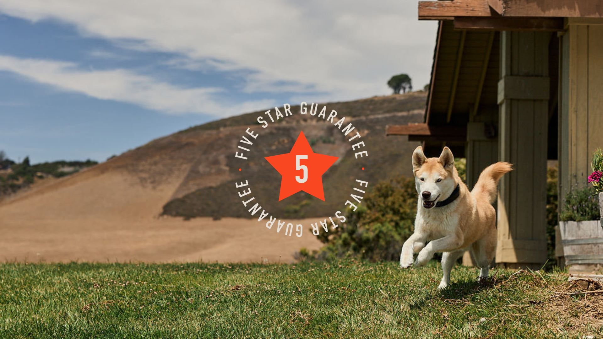 The #1 Rated GPS Dog Fence