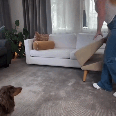 Dog Ramp Ottoman - 2-in-1 Lightweight Folding Ramp for Small Dogs - Suitable for Bed, Couch, and Car