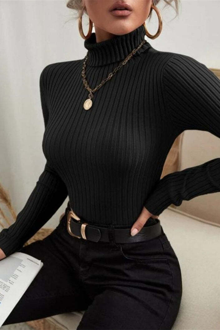 Fitted Long Sleeve Mock Neck Sweater