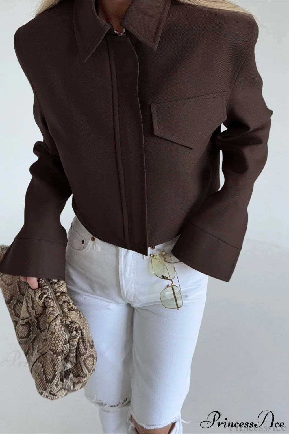 Brown Zip Short Jacket Chic Coat