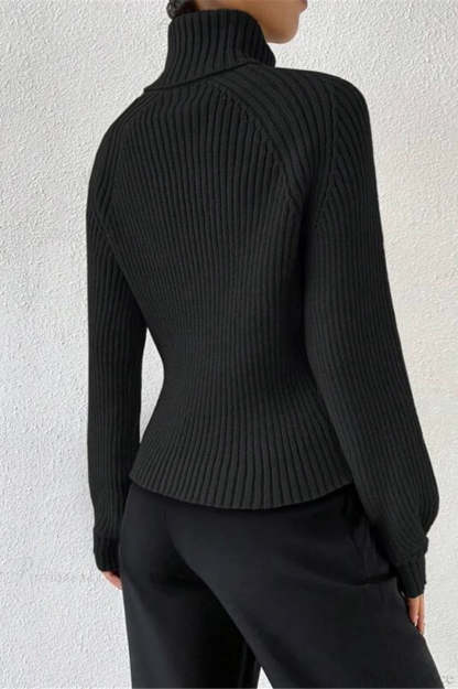 Loose Turtleneck Raglan Sleeve Sweater