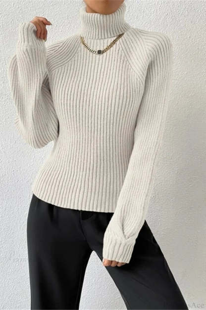 Loose Turtleneck Raglan Sleeve Sweater