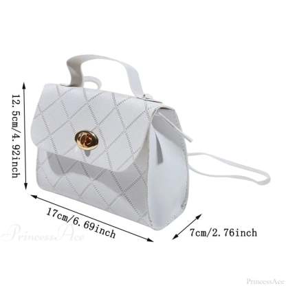Small Trendy Messenger Female Crossbody Handbag handbag-250126