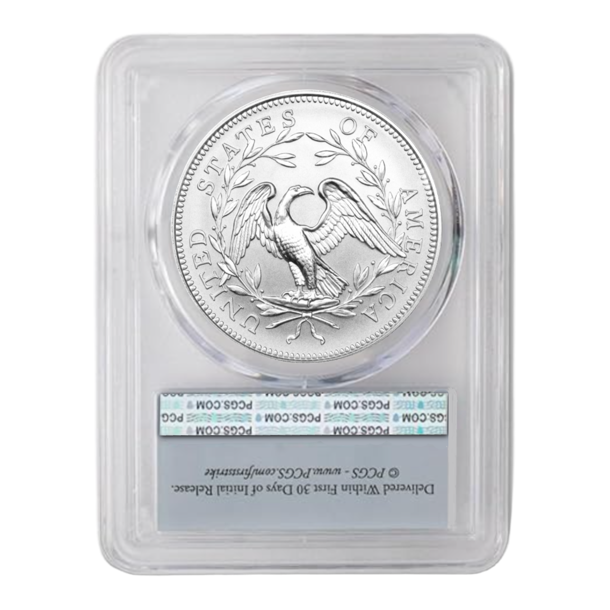 1 Oz 2025 Liberty Flowing Hair Dollar Silver – Silver • Limited Release • Limited-Time Factory Price.