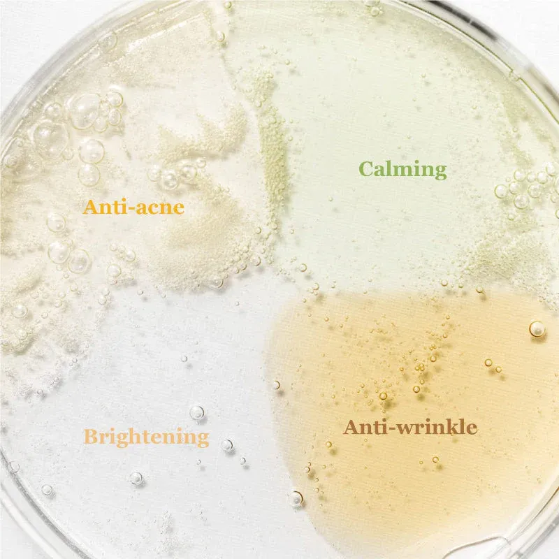 Beauty of Joseon Hanbang Serum Discovery Kit