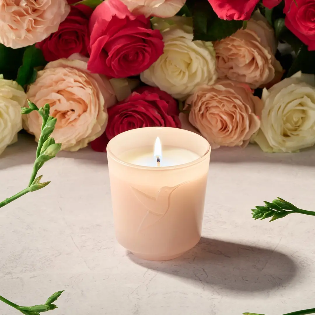 Jardin des roses
