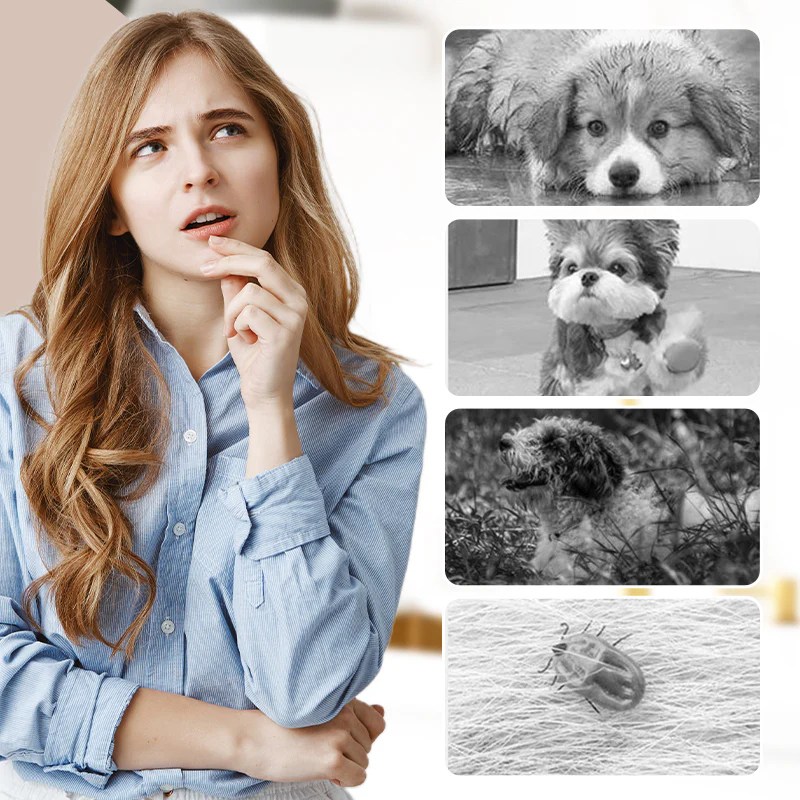 Vonkajšie prachotesné nohavice pre psov