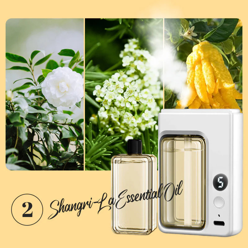 Bring the breath of the forest into your room; every breath is an embrace with nature.