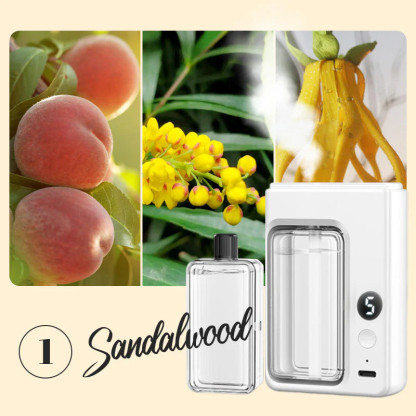 Bring the breath of the forest into your room; every breath is an embrace with nature.