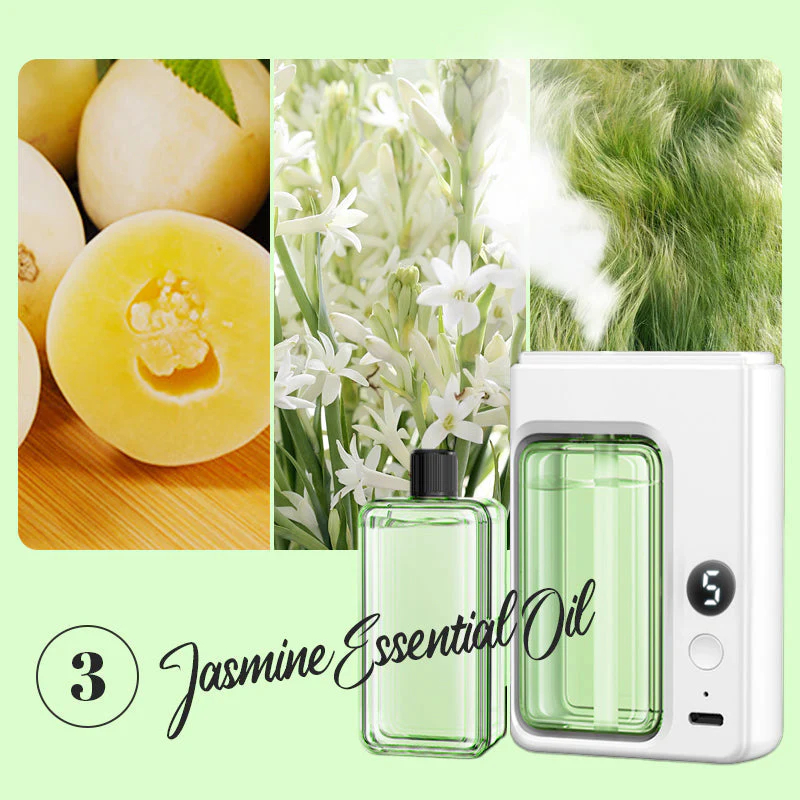 Bring the breath of the forest into your room; every breath is an embrace with nature.