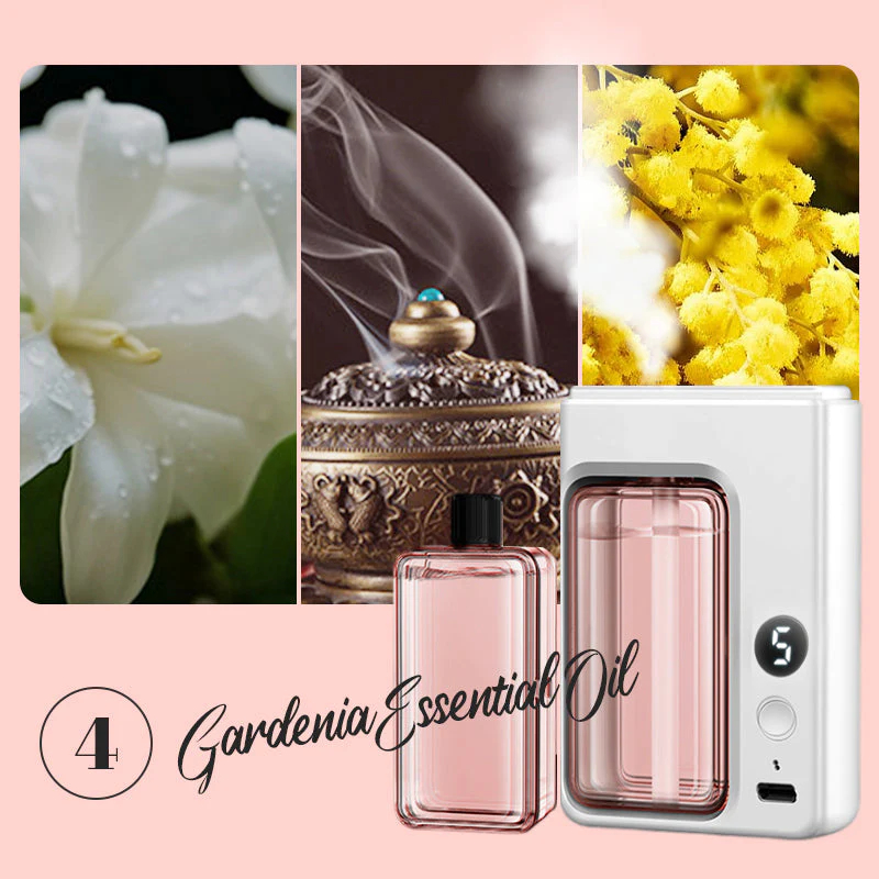 Bring the breath of the forest into your room; every breath is an embrace with nature.