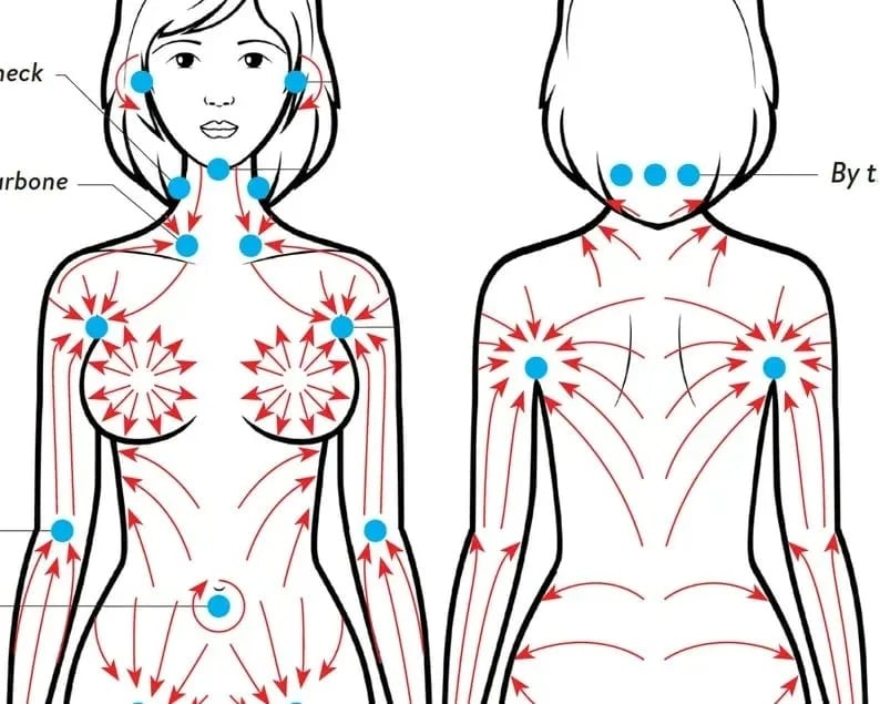 3D Contour Lymphatic Brush