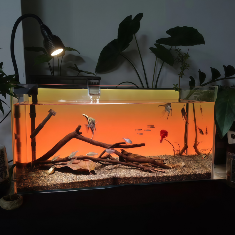 RGB Fish Tank Background Light