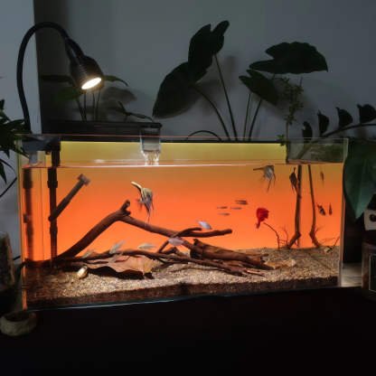 RGB Fish Tank Background Light