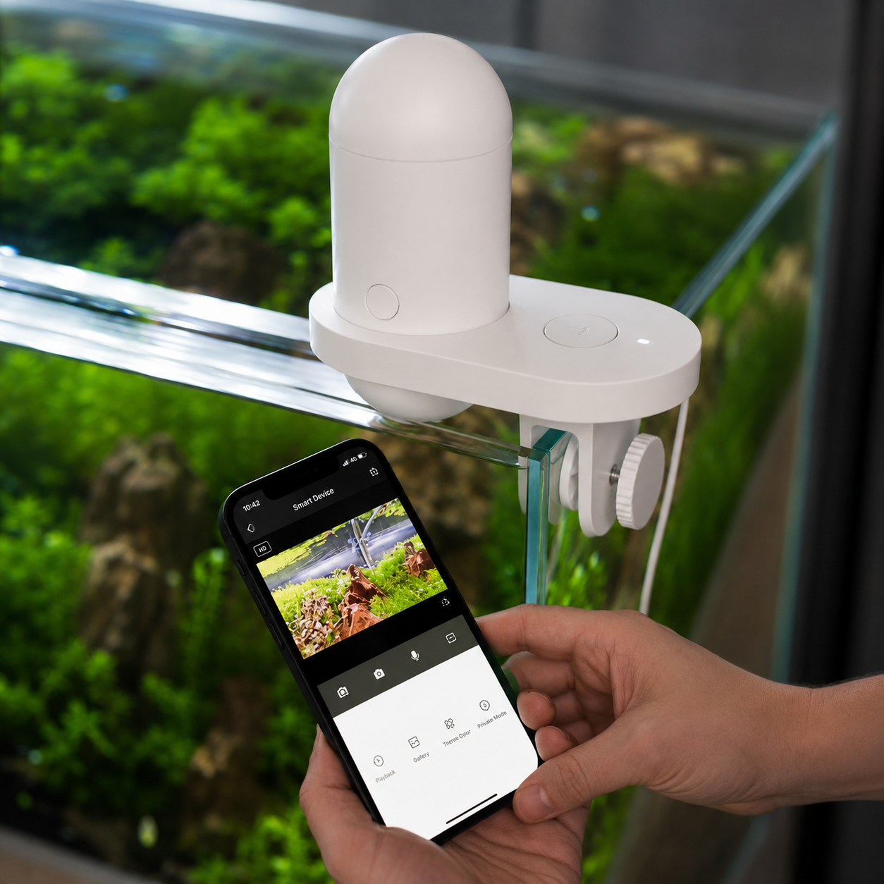 Fish Peeker Feeder