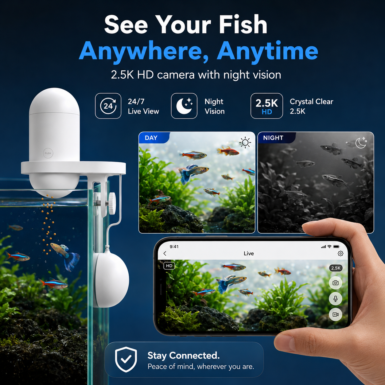 Fish Peeker Feeder
