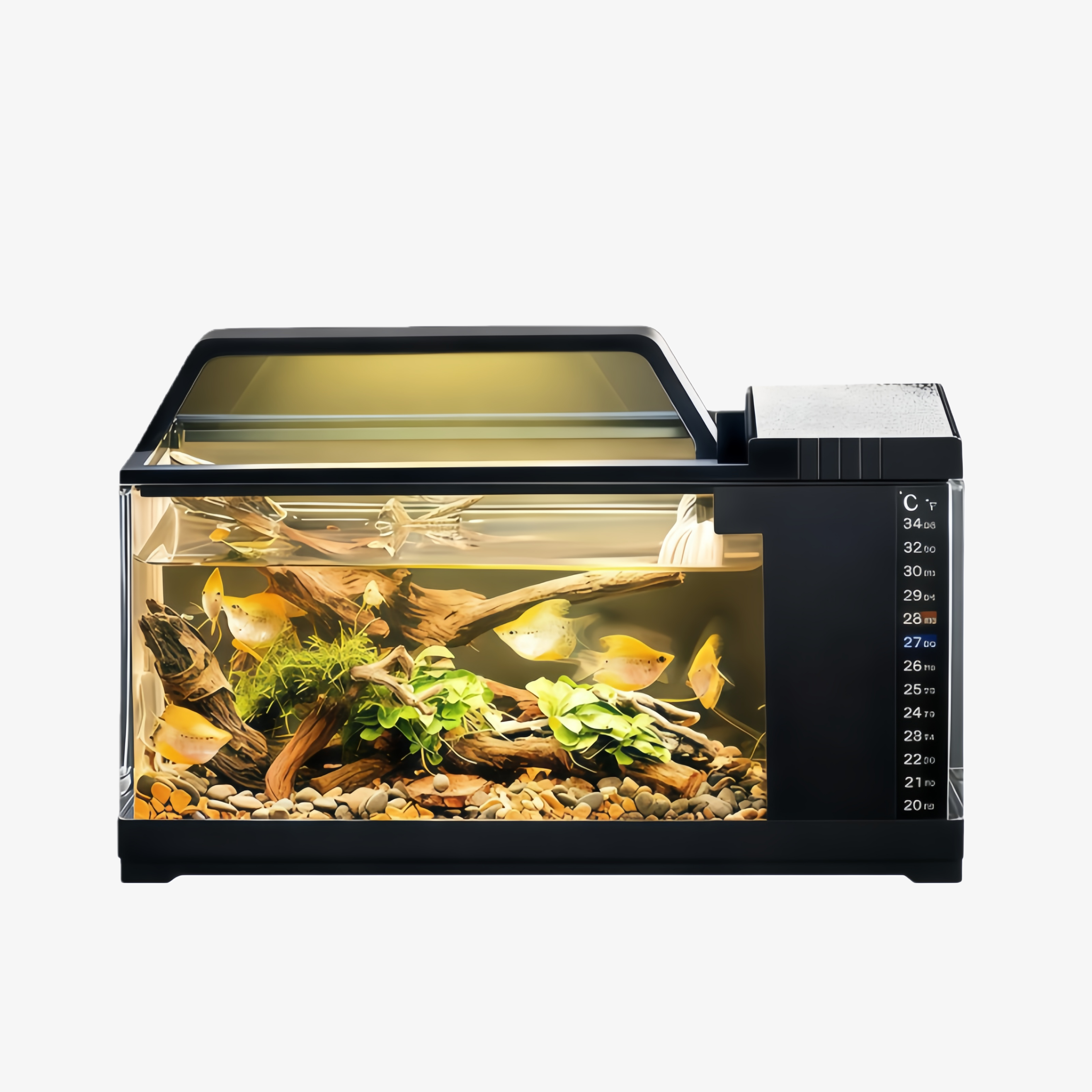 Integrated Fish Tank