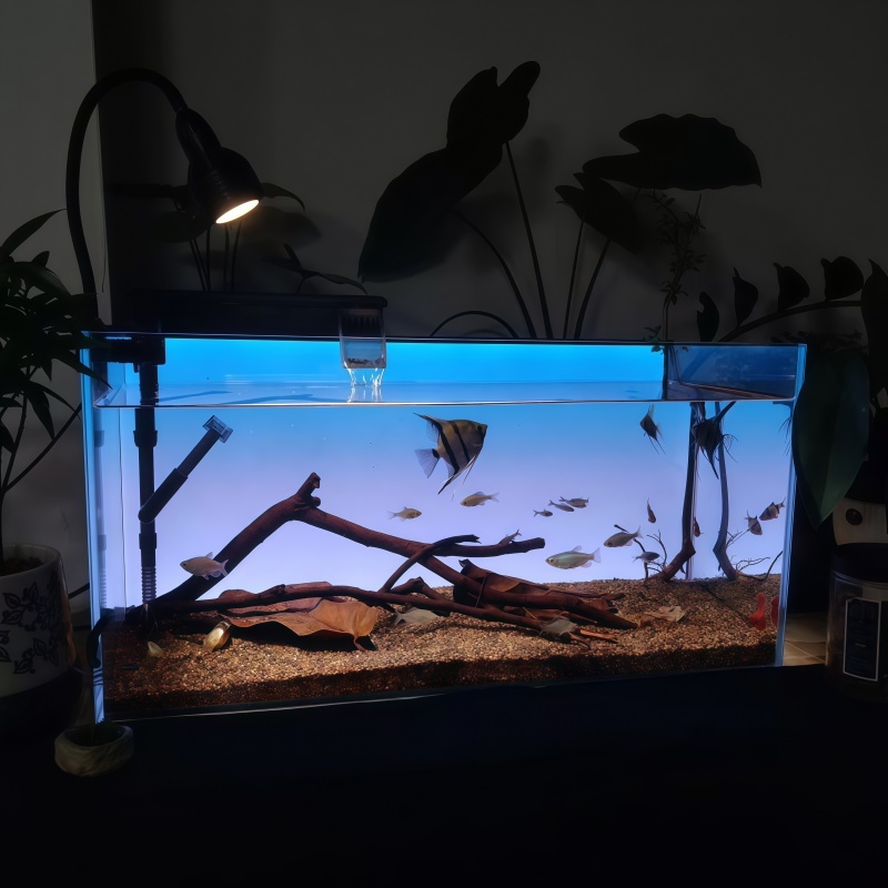 RGB Fish Tank Background Light