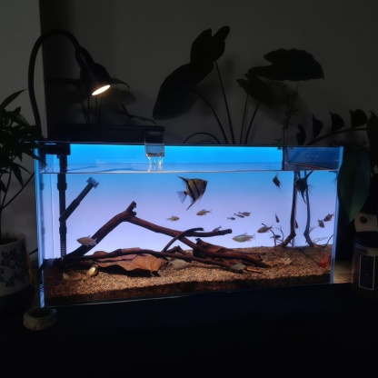 RGB Fish Tank Background Light