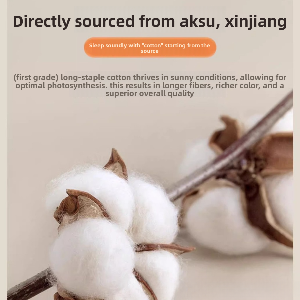 Type A Chinese Xinjiang Cotton Mattress