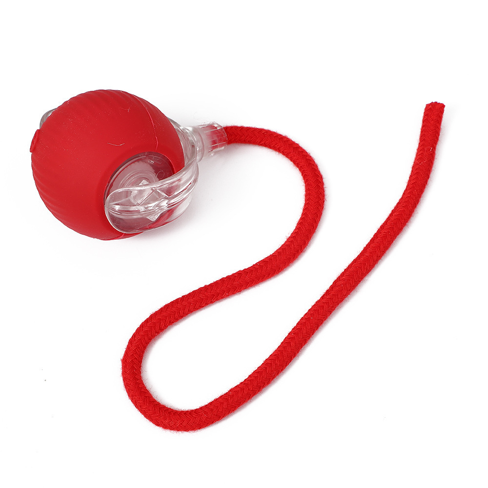 Cat teaser self-amusement artifact（two)