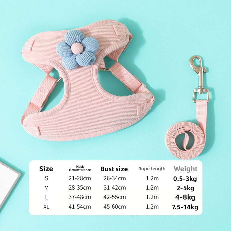 Leash for small puppies when going out