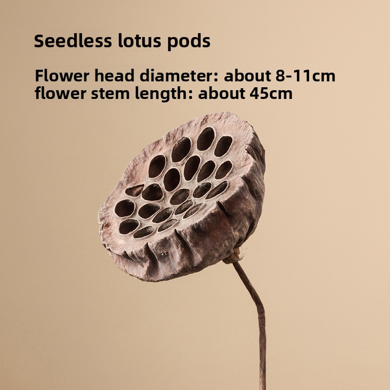 Natural dried flower home decorations