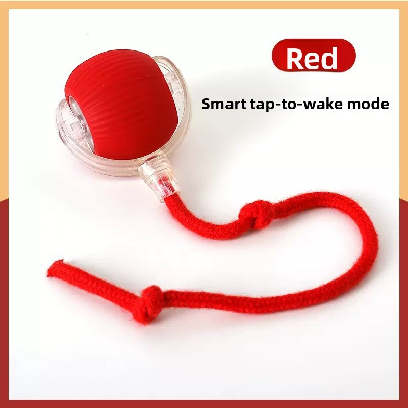 Cat teaser self-amusement artifact（two)