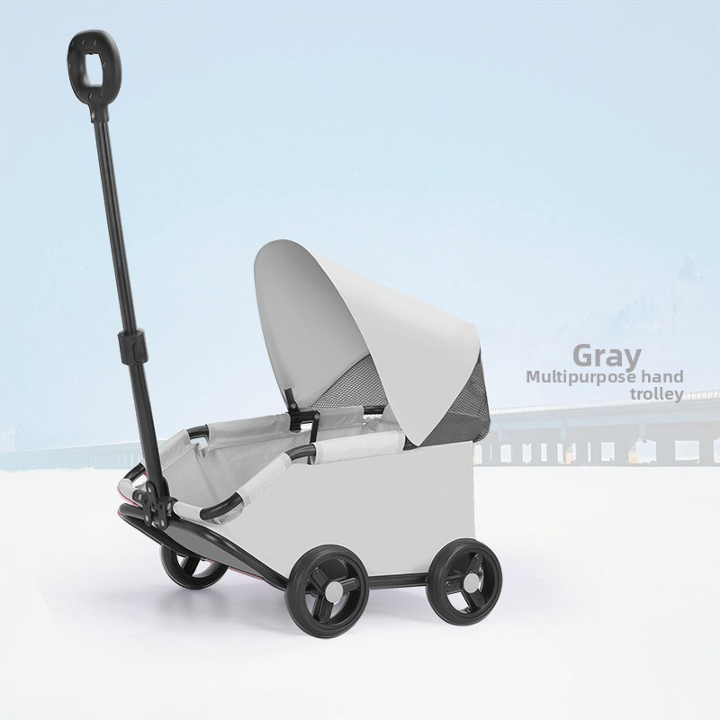 Portable small trolley for going out